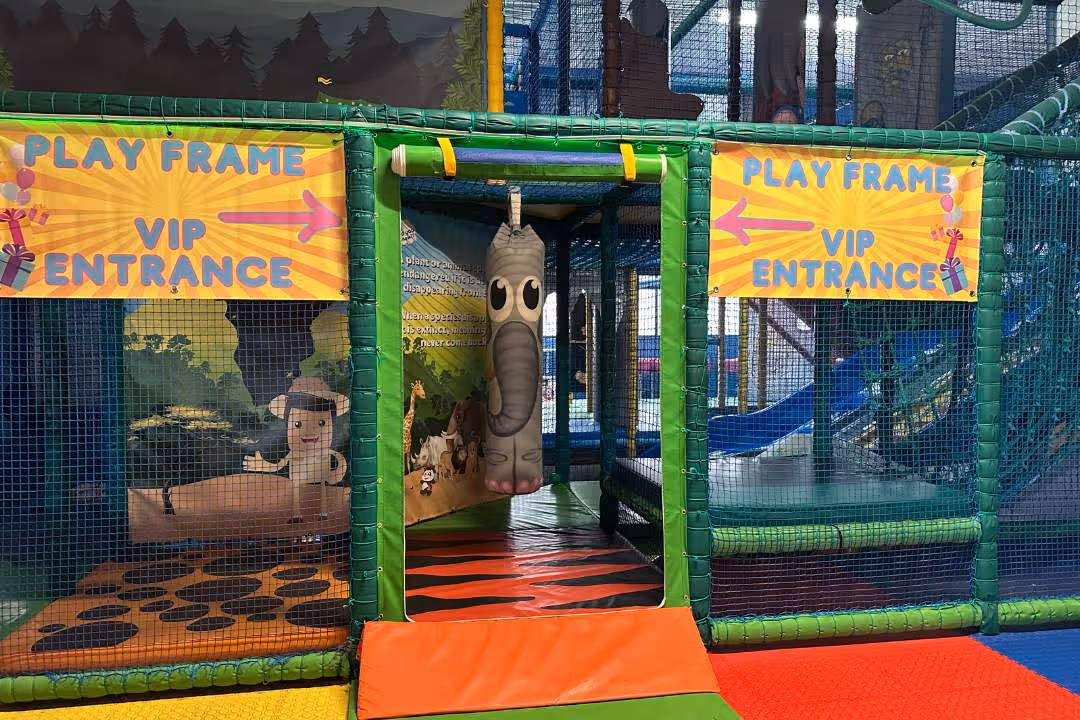 VIP Children's Birthday Party Main Soft Play Frame Access