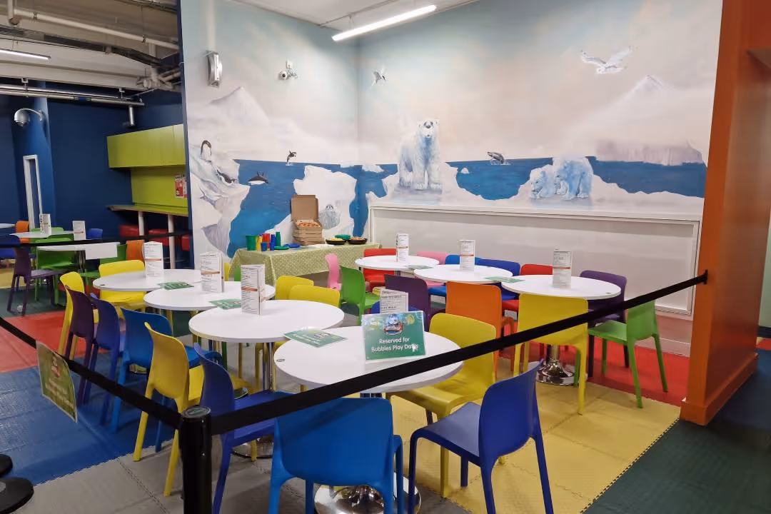 Play Date Children's Party in our Indoor Play Area for Kids